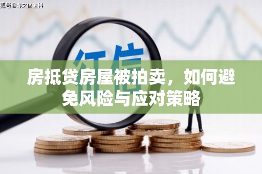 麟游房抵贷房屋被拍卖，如何避免风险与应对策略