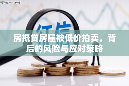 托里房抵贷房屋被低价拍卖，背后的风险与应对策略