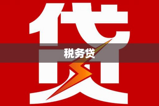 屯溪税务贷