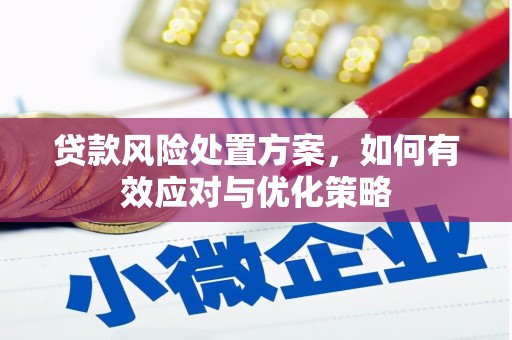 东阿贷款风险处置方案，如何有效应对与优化策略