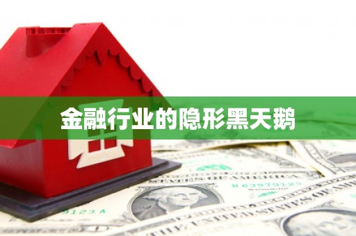 隆化金融行业的隐形黑天鹅