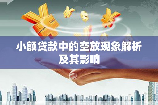 枣庄小额贷款中的空放现象解析及其影响